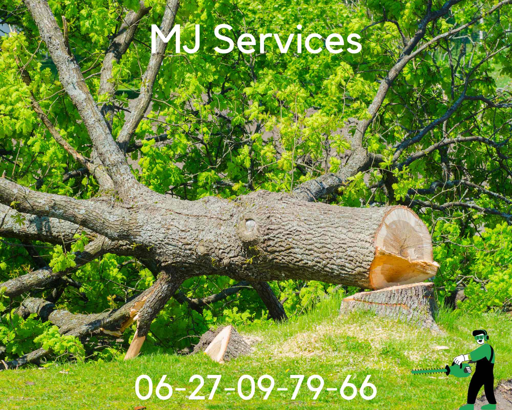 Image illustrant l'utilisation d'équipements modernes lors de l'abattage d'un arbre par MJ Services Paysagist